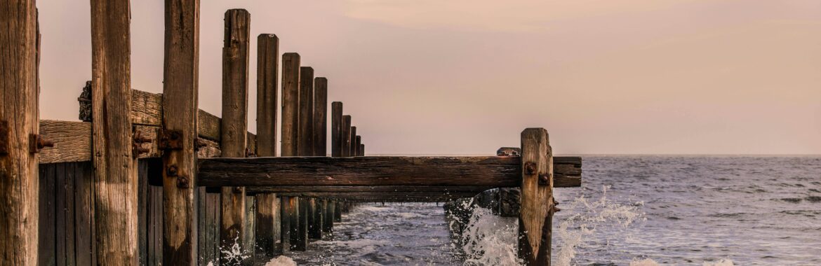 Terms like “structural timber guide,” “best wood for beams,” “timber selection for construction” should appear in title, headings, introduction, and a few times in the body (naturally).