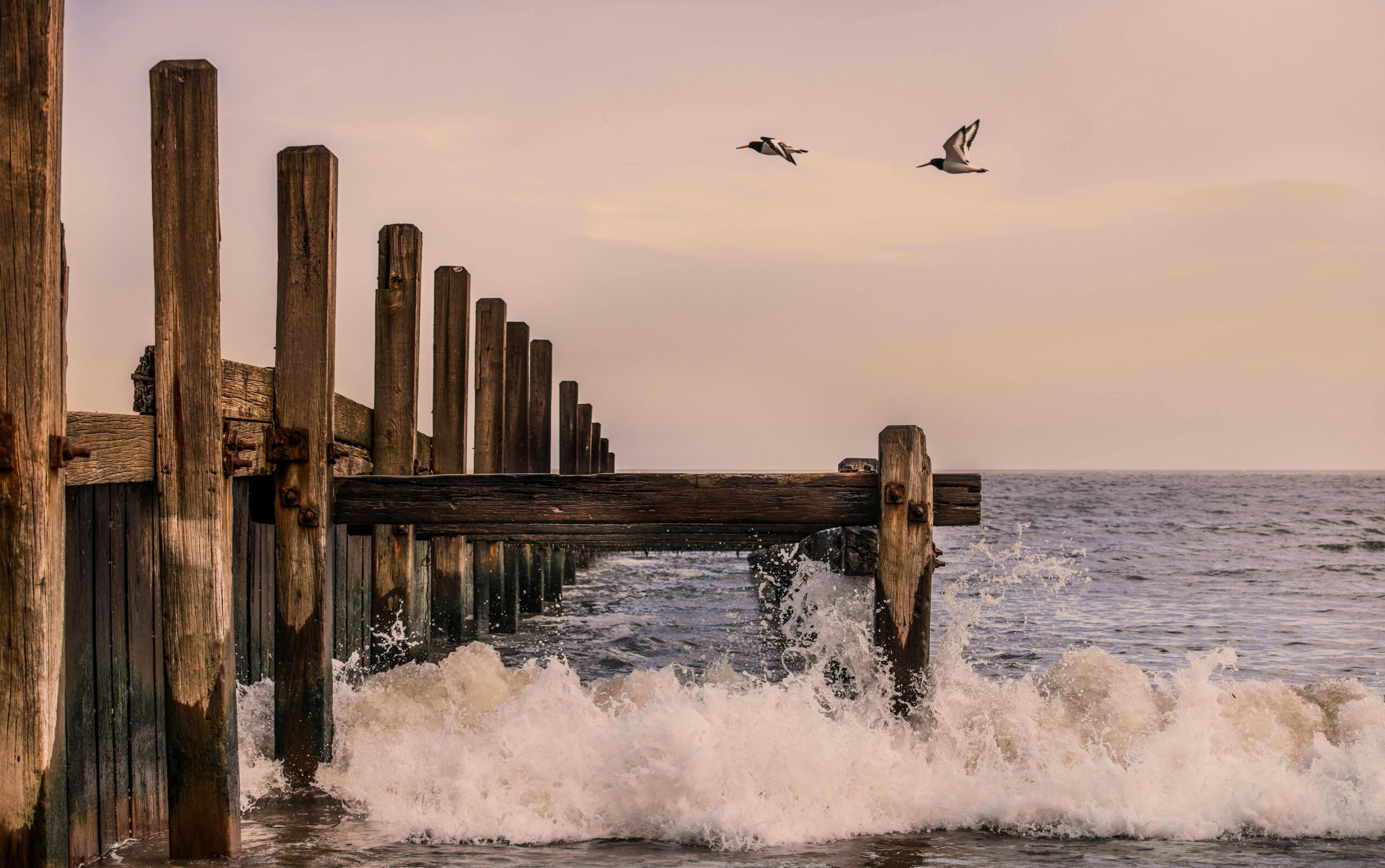 Terms like “structural timber guide,” “best wood for beams,” “timber selection for construction” should appear in title, headings, introduction, and a few times in the body (naturally).